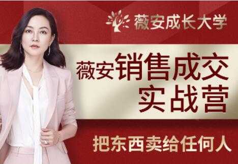 【销售技巧】薇安28天销售高手训练营培训课程视频-创业信息网