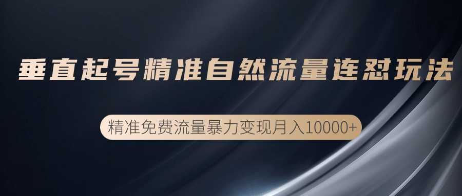 垂直起号精准自然流量连爆玩法，精准引流暴力变现月入10000+-创业信息网