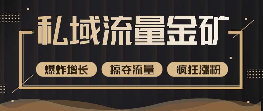 价值2200元私域流量的金矿,循环获取各大媒体精准流量,无限复制网红的精准流量!-创业信息网
