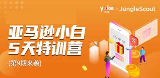 雨课·亚马逊小白特训营第9期培训视频,轻松跨境电商入门卖货赚钱-创业信息网