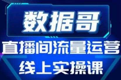 数据哥《直播间流量运营线上实操培训课程》不能错过的一套系统课教程-创业信息网