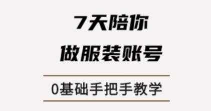 锤石传媒张智诚7天陪你做服装账号,0基础手把手教学课程视频-创业信息网