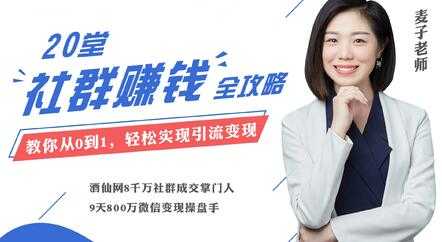麦子《20堂社群运营赚钱攻略》即学即用的全体系社群掘金大课-创业信息网