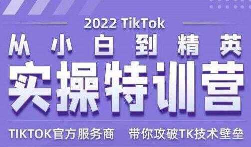 Seven漆《Tiktok从小白到精英实操特训营》带你掌握Tiktok账号运营-创业信息网