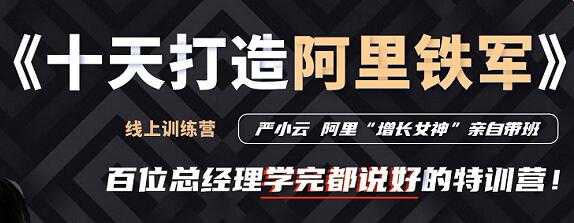 严小云销售特训营《十天快速打造阿里铁军》百位总经理学完都说好-创业信息网