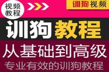 专业训狗视频教程，从初级基础到高级训狗教程视频-创业信息网