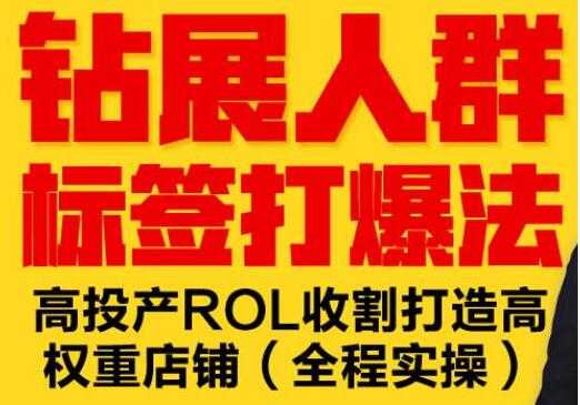 逐鹿《淘宝钻展人群标签打爆法》高投产ROL收割打造高权重店铺(全程实操)-创业信息网