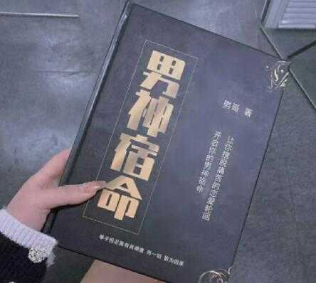 男哥《男神宿命》pdf电子版下载-创业信息网