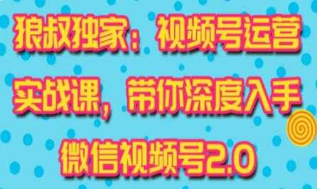 微信视频号运营实战2.0,独家最新玩法,快速吸粉吸金-创业信息网