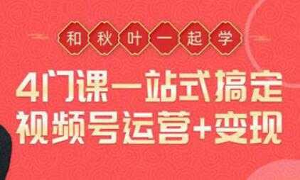 一站式搞定视频号运营变现,从0到1学视频号运营实操培训课程视频-创业信息网