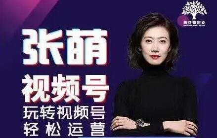 张萌 视频号实战训练营培训课程,轻松玩转视频号运营-创业信息网