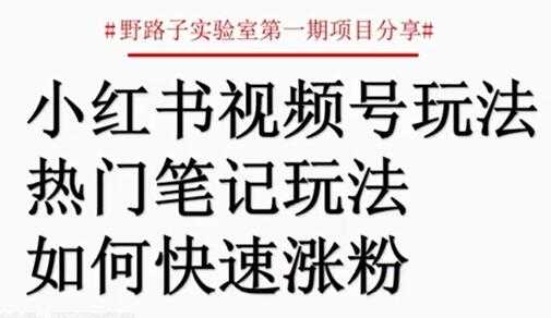 小红书视频号项目,直接上手操作,月入过万-创业信息网