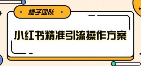 小红书精准引流操作方案,能够直接落地实操引流技术-创业信息网