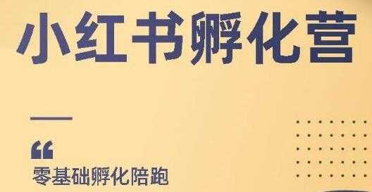 小红书撸金项目,教你如何快速起号获得曝光,做到月躺赚在3000+-创业信息网