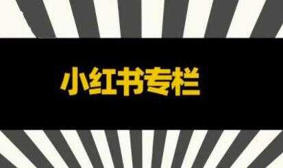 品牌医生《小红书全链营销干货》5个起盘案例,营销策略规划,避坑指南-创业信息网