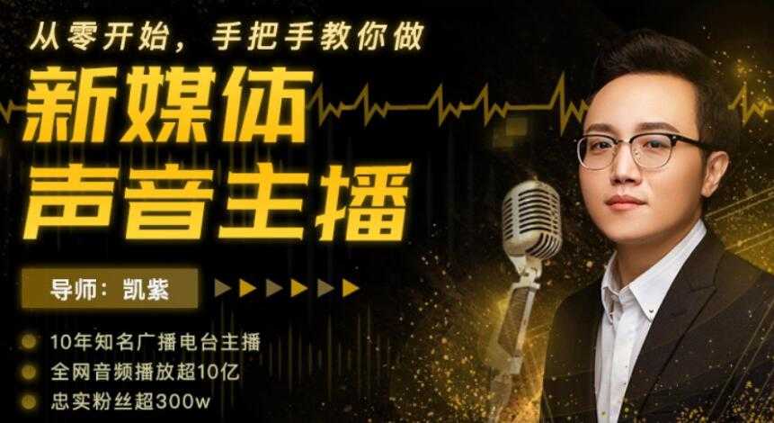 靠声音赚钱,手把手教你做,新媒体声音主播,0成本变现-创业信息网