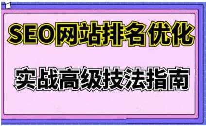 樊天华《SEO网站排名优化》实战高级技法指南-创业信息网