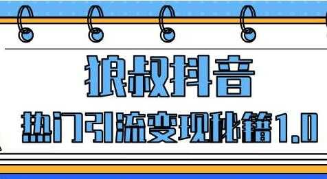 狼叔抖音培训课程,抖音热门引流变现秘籍1.0-创业信息网
