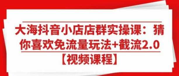 大海抖音小店店群实操培训视频:猜你喜欢免流量玩法+截流2.0-创业信息网