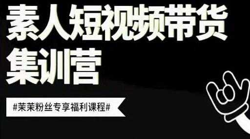 夜草与千里马《素人短视频带货集训营》培训课程视频-创业信息网