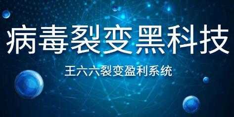 王六六裂变盈利系统课程第六课,病毒裂变黑科技-创业信息网