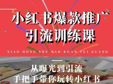 狼叔小红书爆款推广引流训练课,从曝光到引流手把手带你玩转小红书-创业信息网