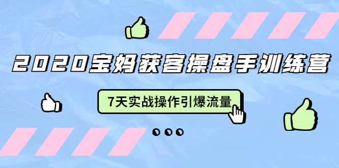 2020宝妈获客操盘手训练营:7天实战操作引爆 母婴、都市、购物宝妈流量-创业信息网