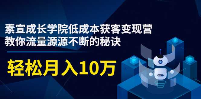 素宣成长学院低成本获客变现营,教你流量源源不断的秘诀,轻松月入10万-创业信息网