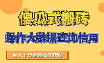 搬砖操作大数据查询信用项目赚钱教程,祝你快速月入6万-创业信息网