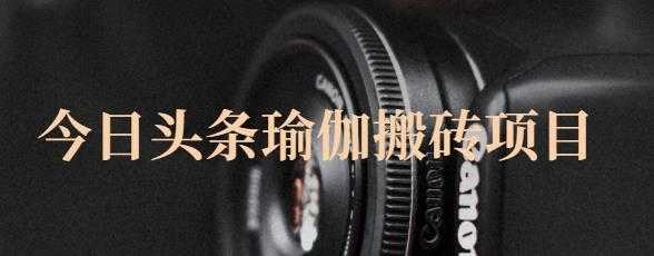 猎人社区·今日头条瑜伽搬砖项目,单号一天几十收入,可以批量操作!-创业信息网