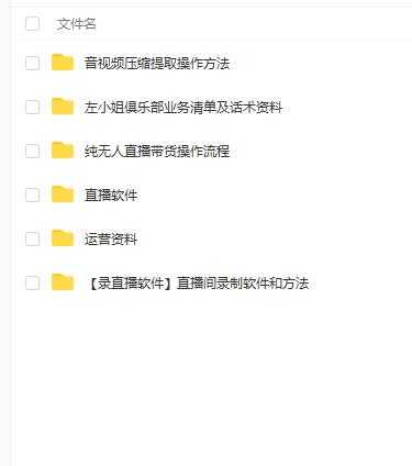 左小姐-直播带货俱乐部十三行、无人直播，全套教程附：工具、文档、话术资料-创业信息网