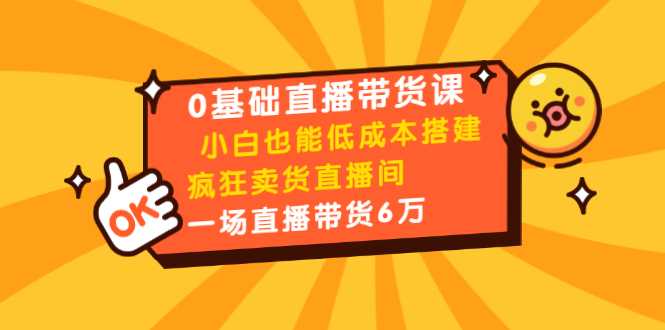 0基础直播带货课:小白也能低成本搭建疯狂卖货直播间:1场直播带货6万-创业信息网