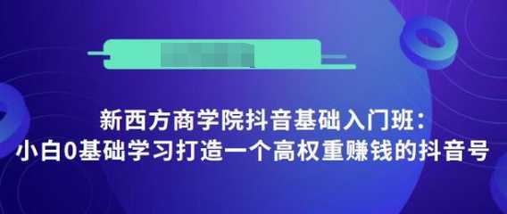 抖音基础入门班:小白0基础学习打造一个高权重赚钱的抖音号-创业信息网