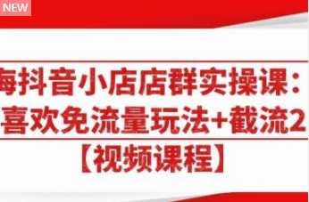 大海抖音小店店群实操课：猜你喜欢免流量玩法+截流 2.0-创业信息网