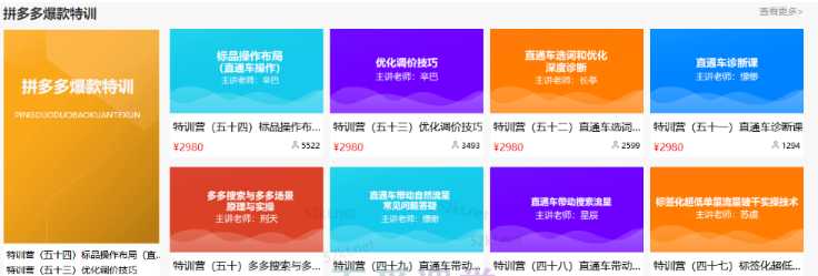 多多大师VIP拼多多运营培训课程价值2980元-创业信息网