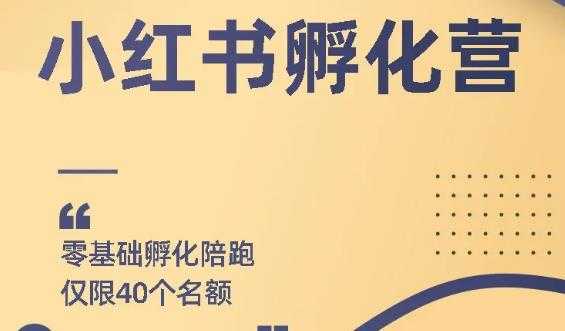 勇哥小红书撸金快速起量项目：教你如何快速起号获得曝光，做到月躺赚在 3000+-创业信息网