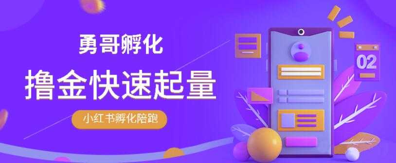 勇哥·小红书撸金快速起量陪跑孵化营，教你在小红书平台实现副业的睡后收入-创业信息网