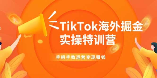 TikTok海外掘金实操特训营:手把手教运营变现赚钱-创业信息网