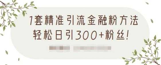 1套精准引流金融粉方法，轻松日引300+粉丝-创业信息网