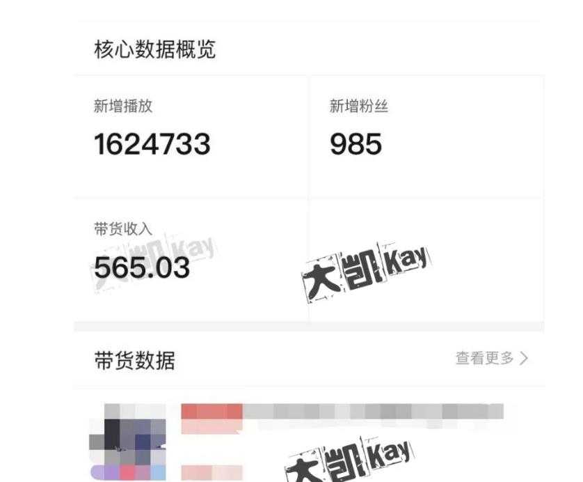 大凯进阶圈新玩法之拼多多视频玩法，利润大概一个号一天能有500~1500的左右!-创业信息网
