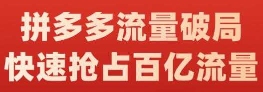 阿杰·拼多多流量破局:如何打黑标,爆款的思路,拼多多流量框架,快速抢占百亿流量-创业信息网