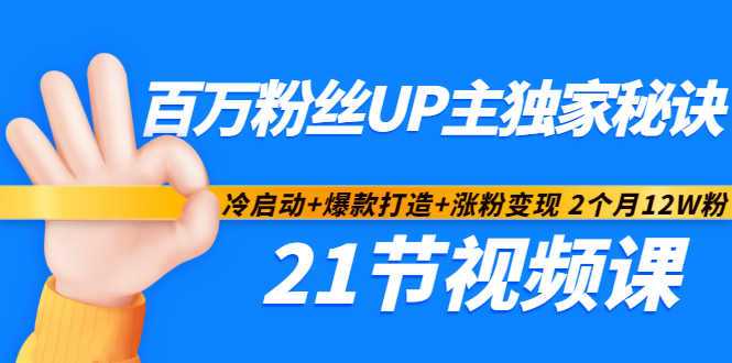 百万粉丝UP主独家秘诀:冷启动+爆款打造+涨粉变现2个月12W粉(21节视频课)-创业信息网