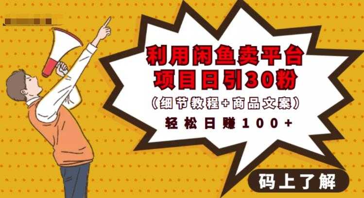 利用闲鱼卖平台项目课程资源日引流30+精准粉丝,轻松日赚100+,积累人脉可实现二次变-创业信息网
