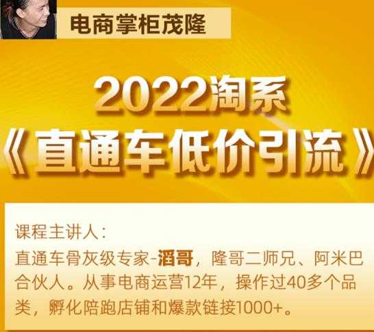 茂隆2022直通车低价引流玩法,教大家如何低投入高回报的直通车玩法-创业信息网