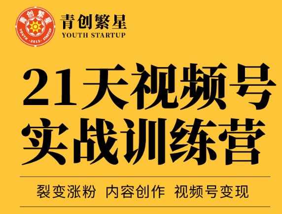 张萌21天视频号实战训练营,裂变涨粉、内容创作、视频号变现 价值298元-创业信息网