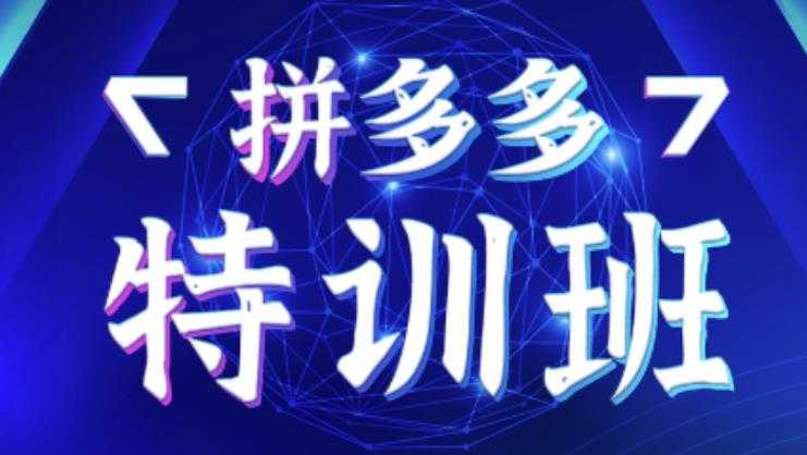 星雪教育·拼多多基础班+进阶班+突破班,用系统的学习模式快速改变现状价值3580元-创业信息网