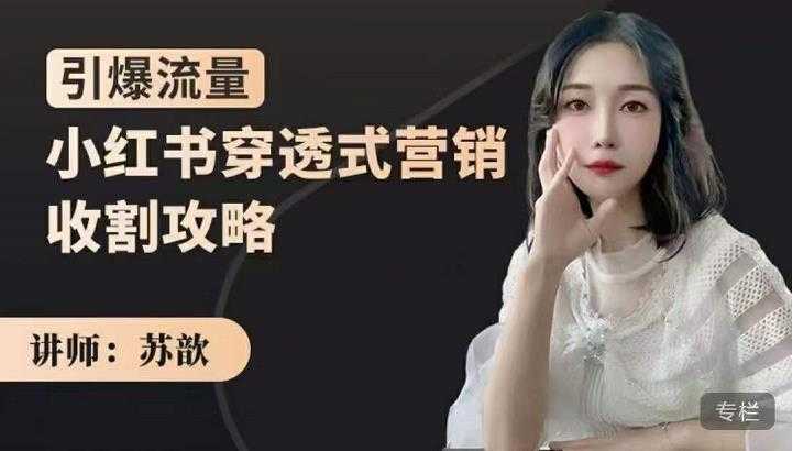苏歆:小红书穿透式营销收割攻略,引爆流量,助你玩转小红书-创业信息网