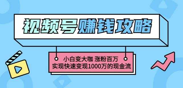 玩转微信视频号赚钱:小白变大咖涨粉百万实现快速变现1000万的现金流-创业信息网