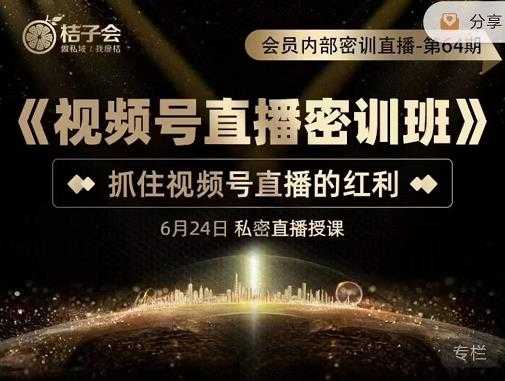 桔子会《视频号直播密训班》,抓住视频号直播的红利 价值12800-创业信息网