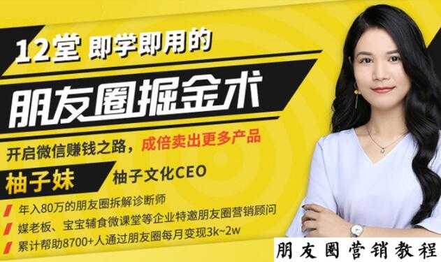 【营销必学】12堂学之即用的朋友圈掘金术:开启你的副业赚钱之路-创业信息网